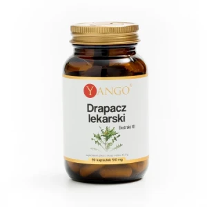 YANGO Drapacz lekarski - 90 kaps.