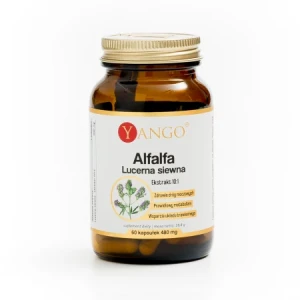 YANGO Alfalfa - Lucerna siewna - 60 kaps.