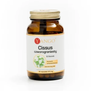 YANGO Cissus czworograniasty - 90 kaps.