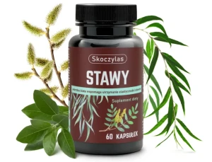 SKOCZYLAS Stawy 60 kapsułek