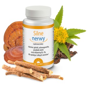 DR JACOBS Silne nerwy 100 kaps.