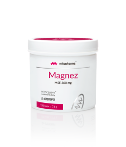DR ENZMANN Magnez MSE 120 kaps.