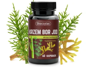 SKOCZYLAS Krzem, Bor, Jod - skrzyp, bambus, algi 60 kaps.