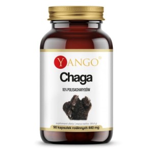 YANGO Chaga - ekstrakt 10% polisacharydów - 90 kaps