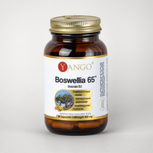YANGO Boswellia 65™ - 90 kaps