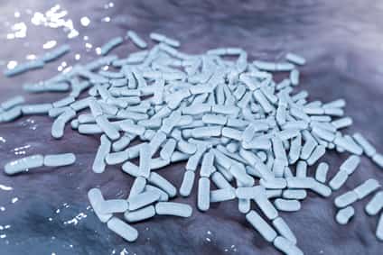 intercellpharma bactoflor