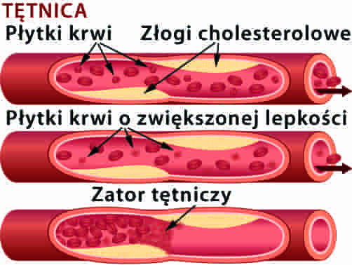 dr jacobs grhanamed działanie