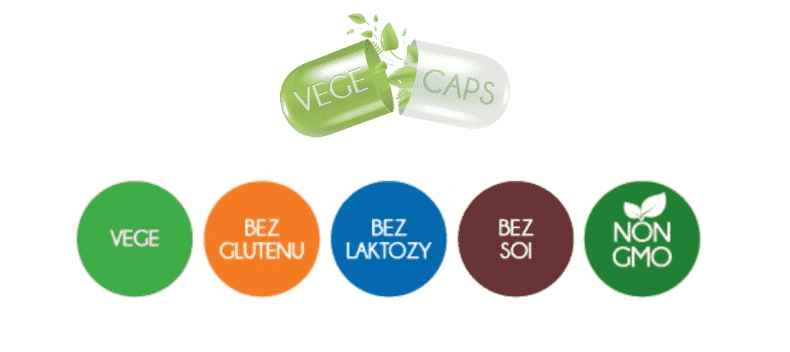 aliness ostropest i karczoch