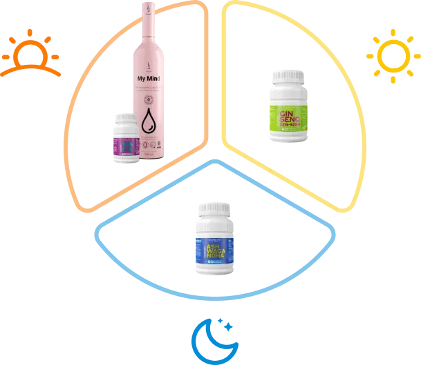energy set basic duolife