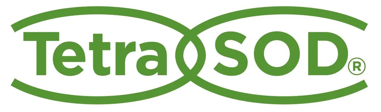 aliness tetrasod